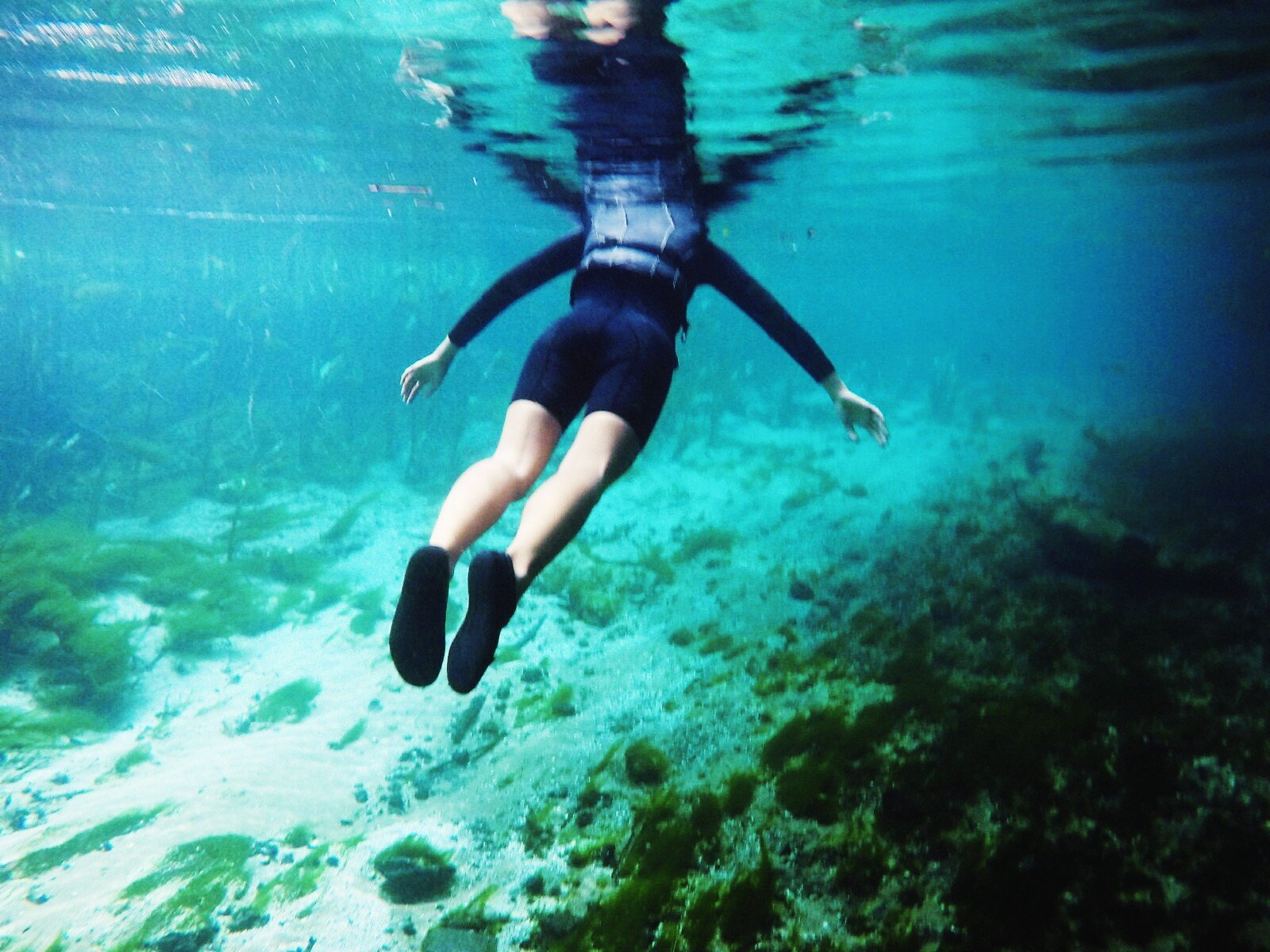 Things to do in Bonito - Fresh water snorkelling in Brazil - Two Lost Feet