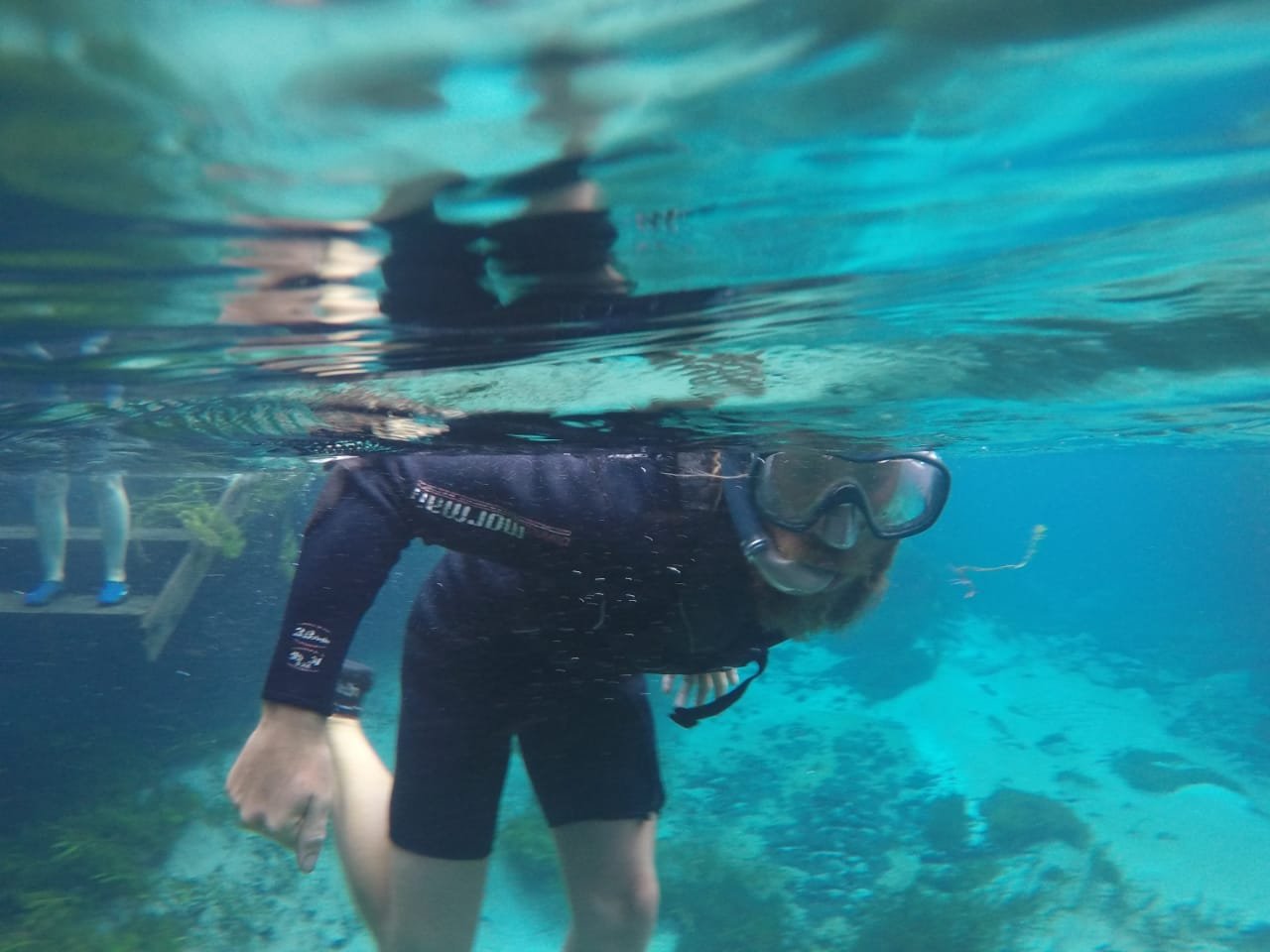 Read more about the article Snorkelling in Bonito