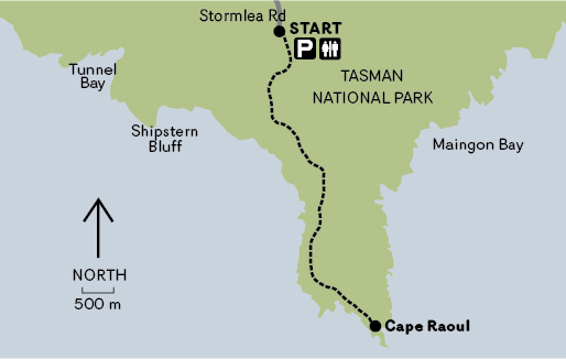 Cape Raoul walk